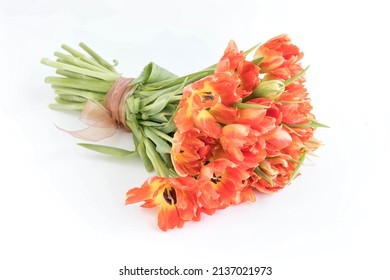 Bouquet of orange tulips close up. Tulips background. Flowers background .  Giving card with tulips .  