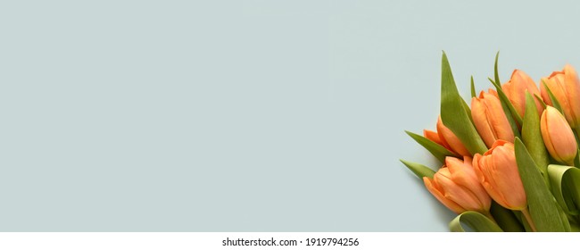 Bouquet of orange tulips on light blue background. Spring, holiday, Women's Day or Mother's Day concept.  Banner, flat lay, top view, copy space.