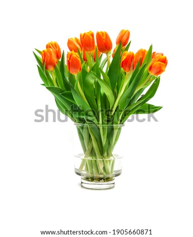 Bouquet of orange tulips on whtie background 