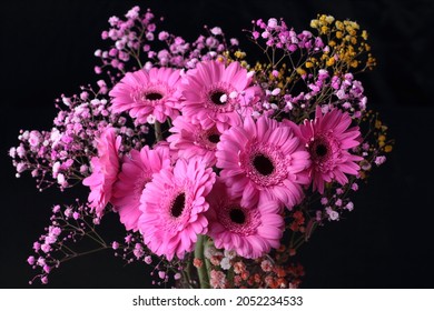 Bouquet of pink gerbera daisies on a black background. Pink blooming gerbera with small  flowers isolated on black.