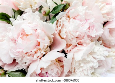Bouquet of pink peonies The apartment lay, top view. Floral frame. Frame of flowers. Flowers texture