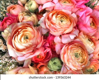 Bouquet of pink peony. Floral pattern.