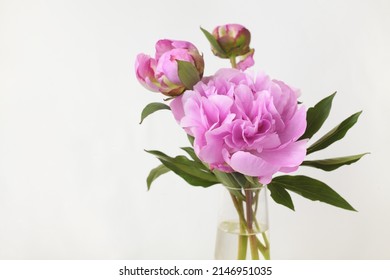 Bouquet of pink peony flowers and buds in a glass vase on white background - Powered by Shutterstock