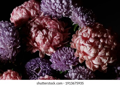 Bouquet of pink with purple aster flowers in light and shadow, Floral botanical design with dark and moody background, baroque light, closeup, copy space
