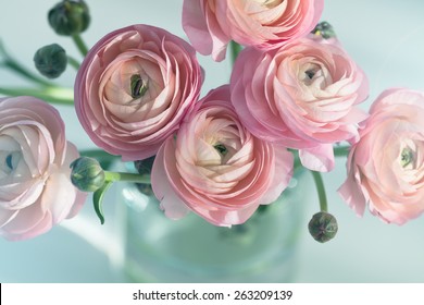 Bouquet Of Pink Ranunculus In Vase