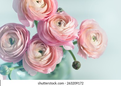 Bouquet Of Pink Ranunculus In Vase