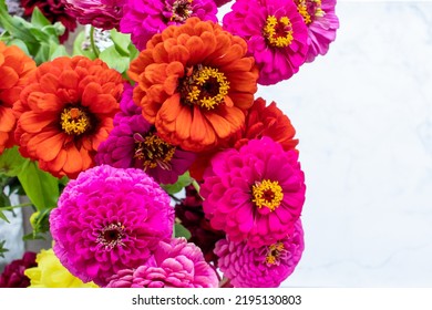 Bouquet of pink and red gerbera daisy flowers on white table background. Top view, copy space.  Colorful gerber autumn flowers. 