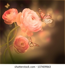 Bouquet Of Pink Roses Against A Dark Background  Butterfly