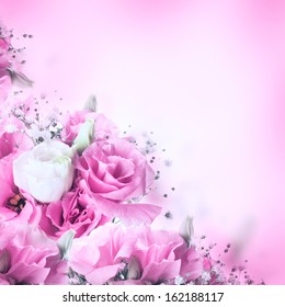 Garden Rose Stock Photo (Edit Now) 165130664