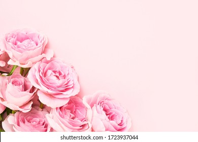 Bouquet of pink roses on pink background. Mother's day, Valentines Day, Birthday celebration concept. Greeting card. Copy space for text, top view - Powered by Shutterstock