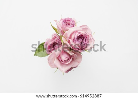 Bouquet of pink roses on a white background. Minimal composition. Flat lay
