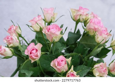 bouquet of pink roses in vase close up ,natural flower background. - Shutterstock ID 2279717763