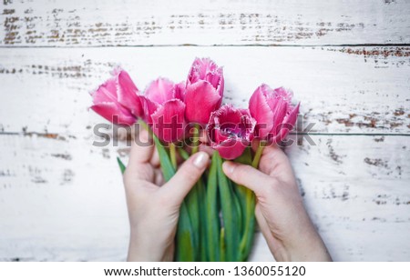 A bouquet of pink tulips in female hands on a white wooden background. Spring background. Mother's Day, International Women's Day, Birthday greeting card. Top view 