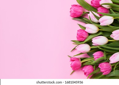Bouquet of pink tulips on pink background. Mothers day, Valentines Day, Birthday celebration concept. Greeting card. Copy space for text, top view