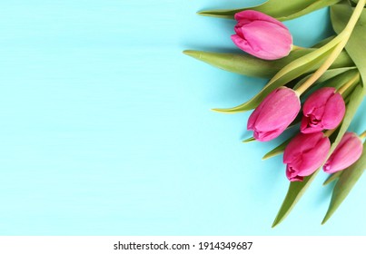 A bouquet of pink tulips on a light blue background. Spring flower arrangement. Background for greeting cards, invitations.