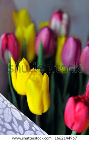 Bouquet of pink and yellow tulips.