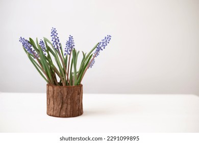 Bouquet of purple muscari. Spring mood - Shutterstock ID 2291099895