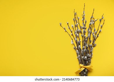 Bouquet of pussy willow branches on yellow background