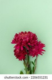 Bouquet of red asters on a mint background. Place for text. Greeting card. Floral background. Style. View from above. - Shutterstock ID 2206551231