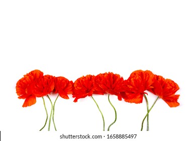 Poppy Bouquet Images Stock Photos Vectors Shutterstock