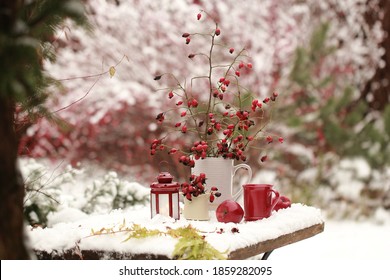 A Bouquet Of Red Rose And A Mug Of Tea In The Winter Garden