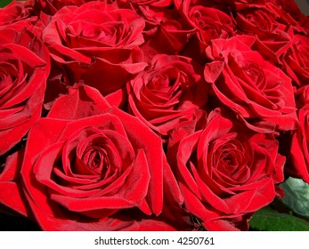 Bouquet of red roses closeup - Shutterstock ID 4250761