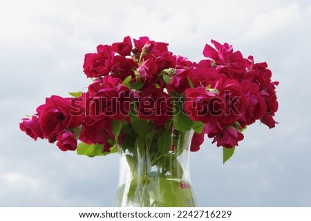Bouquet of red roses in a glass vase against the gentle sky.