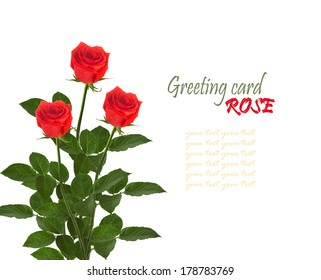 Bouquet of red roses with green leaves isolated on white background 