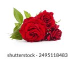 Bouquet red roses isolated on a white background.