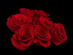 Bouquet Of Red Roses Isolated On Black Background