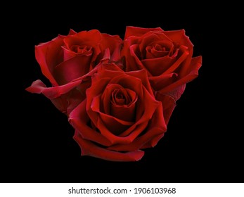 Bouquet Of Red Roses Isolated On Black Background