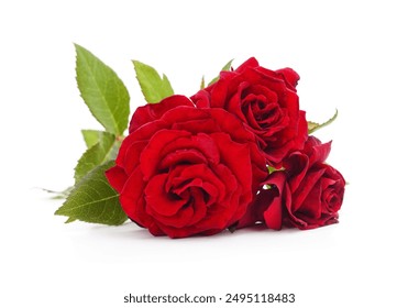 Bouquet red roses isolated on a white background. - Powered by Shutterstock