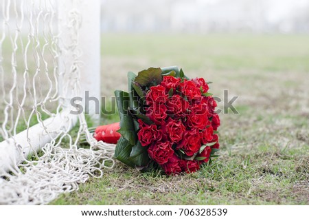 Similar – Image, Stock Photo Football field romance