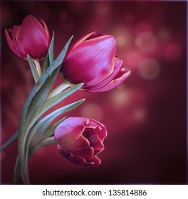 Bouquet of red tulips against a dark background
