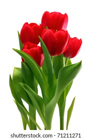 Bouquet Of Red Tulips Isolated On White