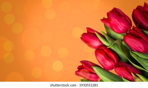 Bouquet of red tulips on a background with bokeh. Spring holiday.