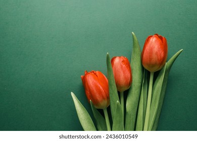 Ramo de tulipanes rojos sobre fondo verde. Día de la madre, Día de San Valentín, Concepto de celebración de cumpleaños. Tarjeta de felicitación. Copiar espacio para texto, vista superior.