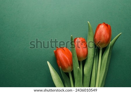 Bouquet of red tulips on green background. Mothers day, Valentines Day, Birthday celebration concept. Greeting card. Copy space for text, top view.