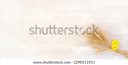 A bouquet of ripe yellow wheat with yellow flowers, on a background of a white wooden surface, is intended for a greeting card for the holiday of Shavuot