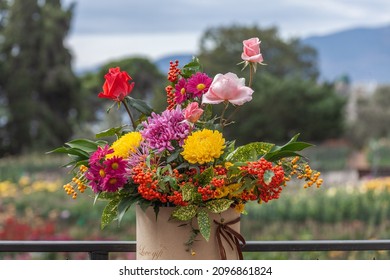 Bouquet of roses, chrysathemums and berries in the Nikitsky Botanical Garden. Crimea, Yalta