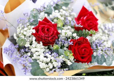 Bouquet of Roses fresh  in a beautiful light , valentine day background.