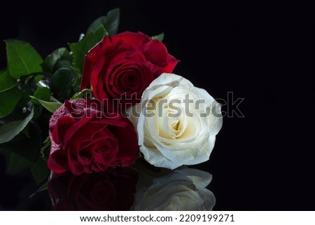 bouquet of roses on a black background with reflection. copy space