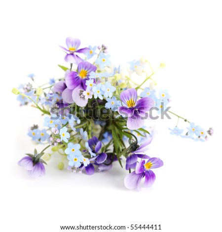 Bouquet of spring flowers on white isolated background