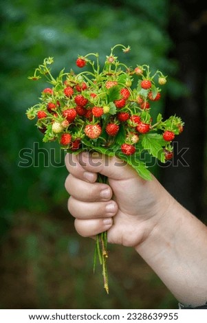 Bouquet with strawberries in the forest on a rainy day.
