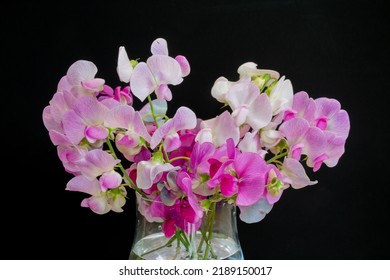 Bouquet of sweet peas in a glass bowl
				