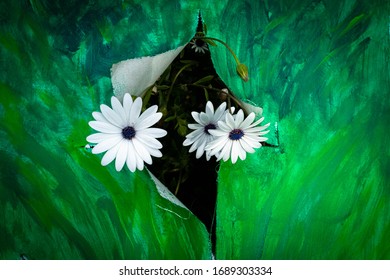 
A Bouquet Of Three White Flowers Through A Painter's Canvas