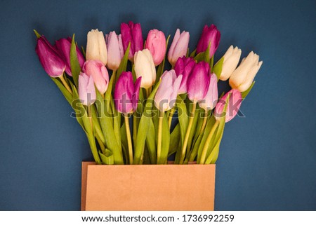 Bouquet of tulips in craft paper bag on classic blue background. Holiday concept. Greeting for Women's or Mothers Day, Valentines day
