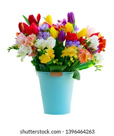 Bouquet of tulips and freesias flowers in blue bucket isolated on white background