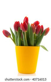 Bouquet Tulips In Modern Yellow Flower Pot