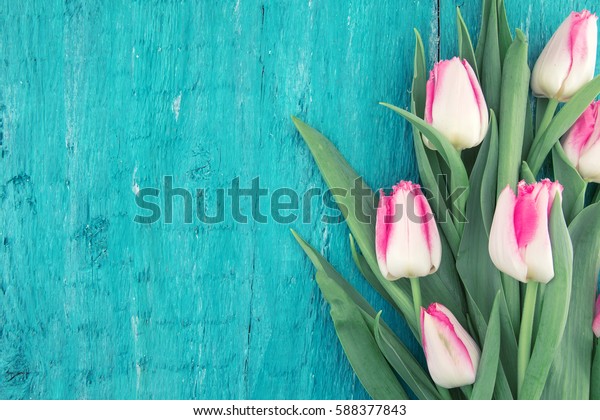 青緑色の素朴な木の背景にチューリップの花束 メッセージ用のコピースペース 春の花 バレンタインデー 女性の日 母の日のグリーティングカード 平面図 の写真素材 今すぐ編集